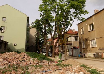a tree in the middle of a pile of rubble